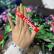 Pulseiras de Identificação em Tecido